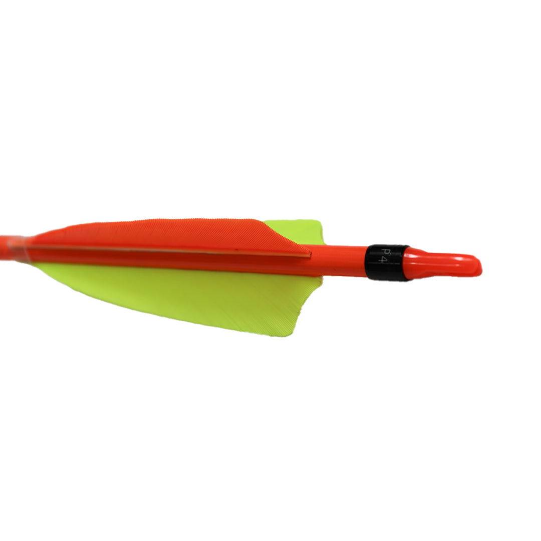 Shocq Pfeil Pavo 6.2 mit 4" Federn